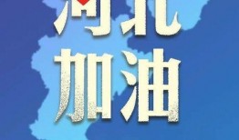 河北爆料新闻,揭开背后真相，聚焦社会热点事件